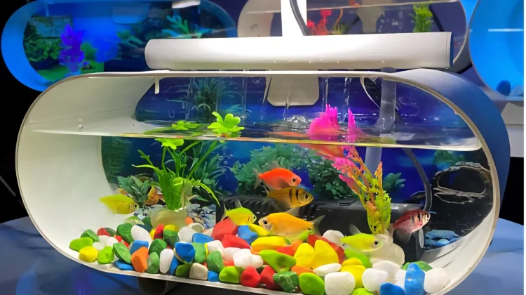 Perlengkapan Aquarium Makin Murah, Hobi Memelihara Ikan Hias Semakin Diminati