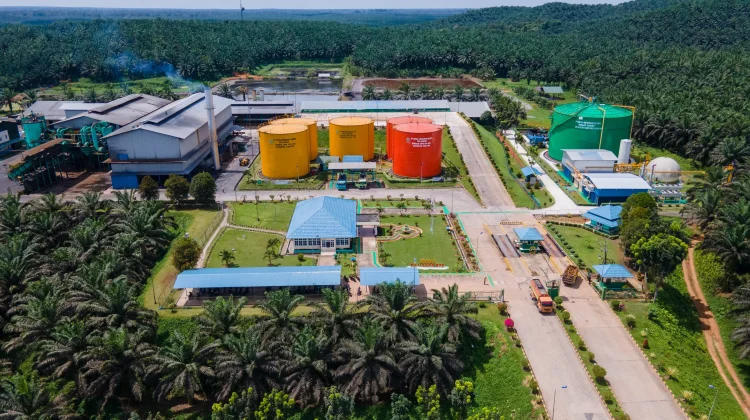 SSMS Laporan Kinerja Keuangan yang Meningkat Drastis dengan Laba Bersih R
