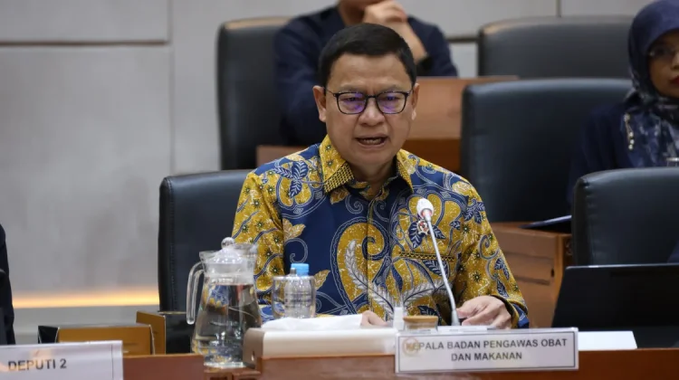 BPOM Paparkan Strategi Pengawasan Obat dan Makanan dalam RDP dengan DPR