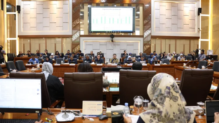 BPOM Dorong Penguatan Pengawasan Obat dan Makanan dalam RDP dengan DPR