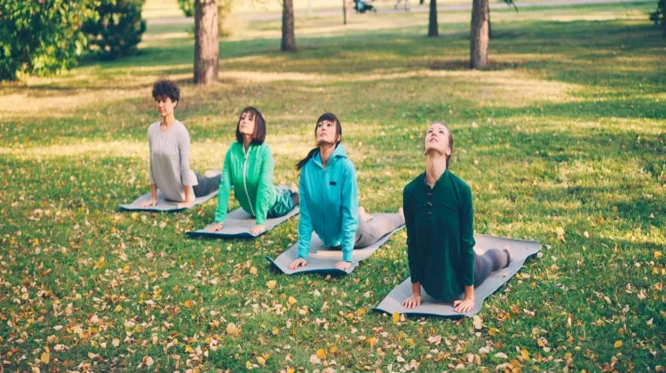 Mengapa Pendekatan Holistik Jadi Fondasi Wellness Modern