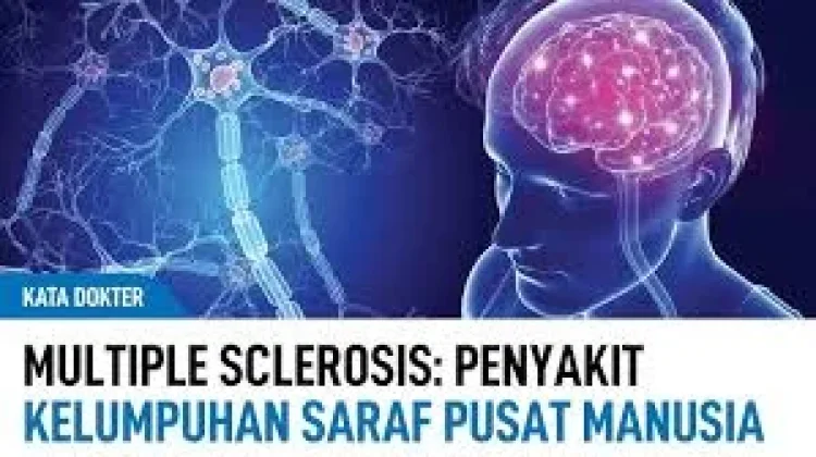 Pentingnya Hari Kesadaran Internasional untuk Penyakit Imunologi Neurologi