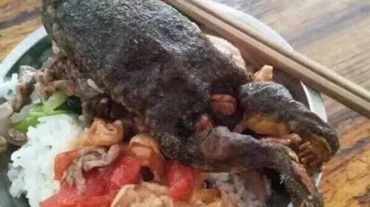 Lima Makanan Pemicu Risiko Kanker
