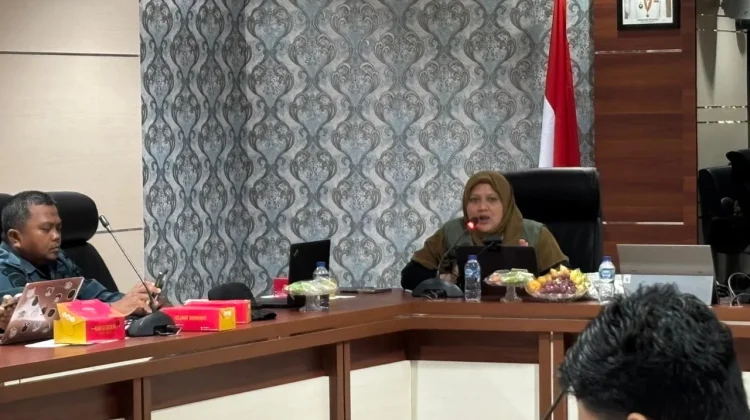 BNPB Ingatkan Pentingnya Perubahan Paradigma Penanggulangan Bencana