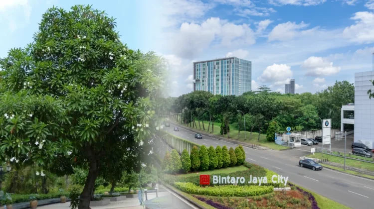 Asal Usul Kawasan Bintaro
