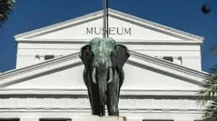 Sejarah Hari Museum Internasional