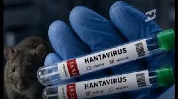 [Hoaks] Video Tikus Terinfeksi Hantavirus Disebar dengan Truk