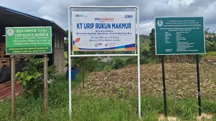 Usia Bukan Halangan! Kisah Sukses Kelompok Tani Paruh Baya di Batam