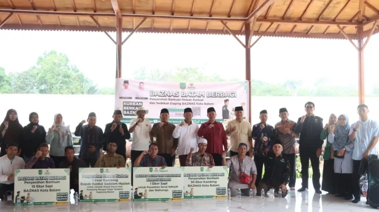BAZNAS Batam Salurkan 15 Sapi dan 30 Kambing Kurban untuk Mustahik