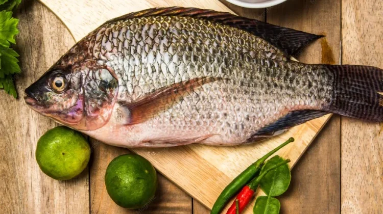 Kenali Ciri Ikan Nila Segar sebelum Membeli