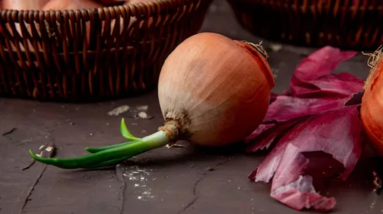Bawang Bertunas Masih Bisa Dikonsumsi atau Tidak? Simak Penjelasannya