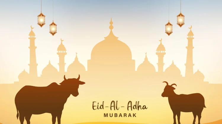 Layanan Digital Qurban Mudahkan Umat Berbagi Hingga Pelosok Dunia