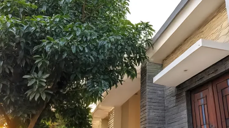 Batu Alam Masih Jadi Material Elegan untuk Rumah Modern?