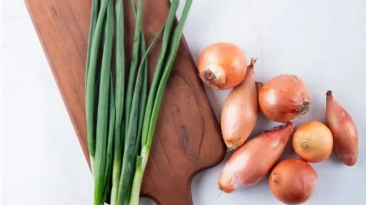 Daun Bawang Habis? Coba Gunakan 5 Bahan Alternatif Ini