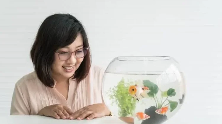 Pelihara Ikan Bagus untuk Kesehatan Mental?