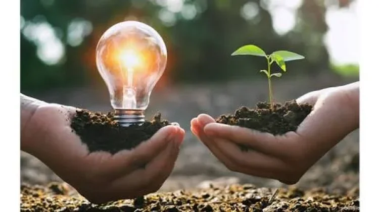 Selain Kurangi Tagihan Bulanan, Hemat Energi juga Lestarikan Lingkungan
