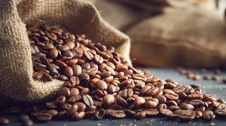 Kenali Beberapa Biji Kopi Populer !