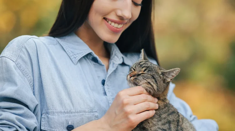 Manfaat Memelihara Kucing yang Perlu Diketahui untuk Kesehatan