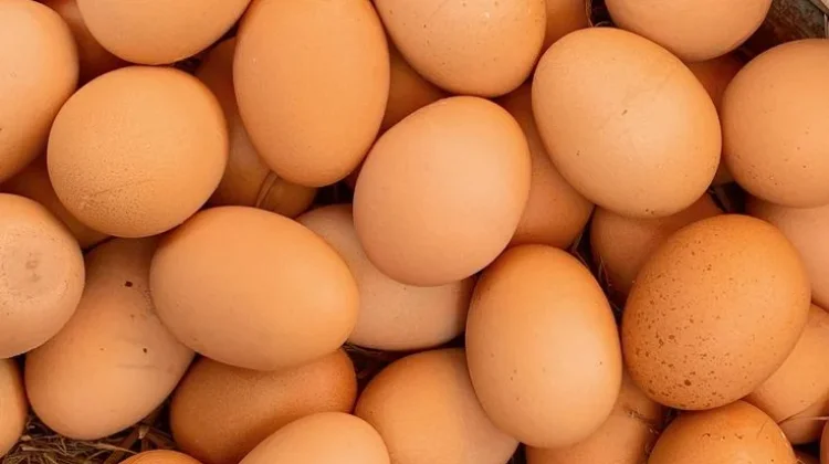 Kenali Kualitas Telur dari Bentuk dan Cangkangnya, Jangan Sampai Salah Pilih