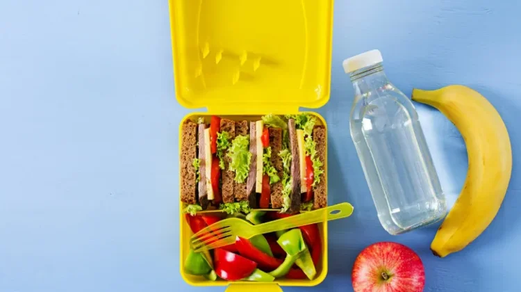 Resep Makan Siang Sehat Anak Balita