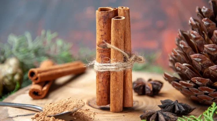 Ini 5 Manfaat Hebat Kayu Manis dalam Masakan yang Jarang Diketahui