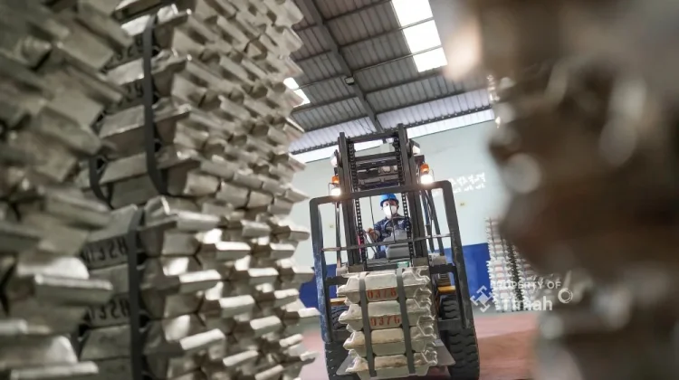 Wop Cairr ! TINS Akan Bayar Dividen Investor Rp.8.818 per Lot