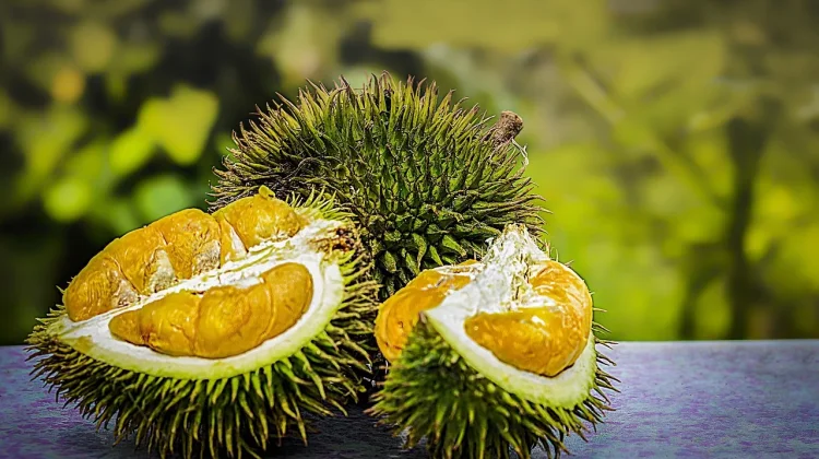 Nutrisi di Balik Buah Durian
