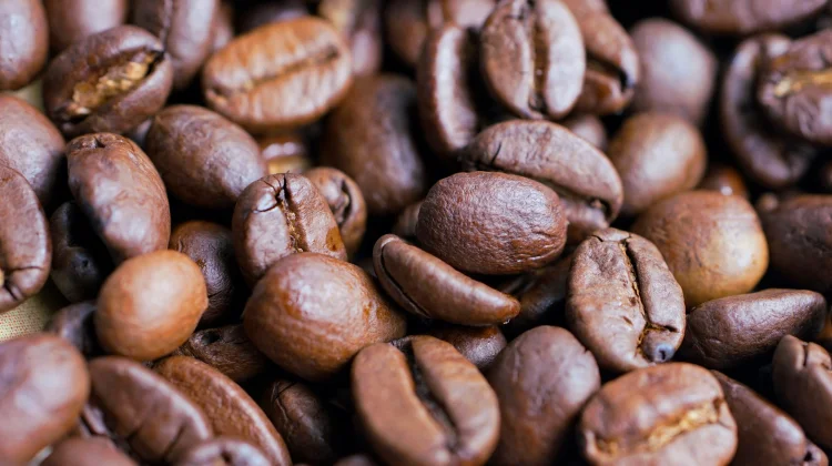 Dari Ritual Sufi hingga Kedai Kopi Dunia: Jejak Panjang Perjalanan Kopi