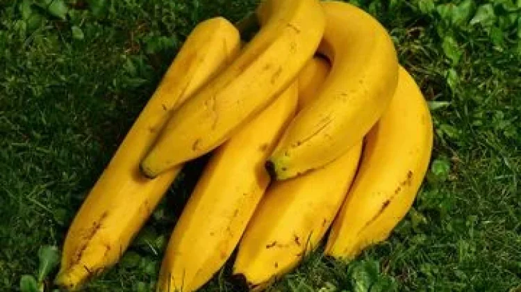 Manfaat Makan Pisang sebelum Olahraga