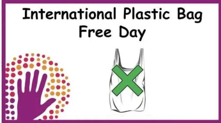 3 Juli : Sejarah Hari Bebas Kantong Plastik International