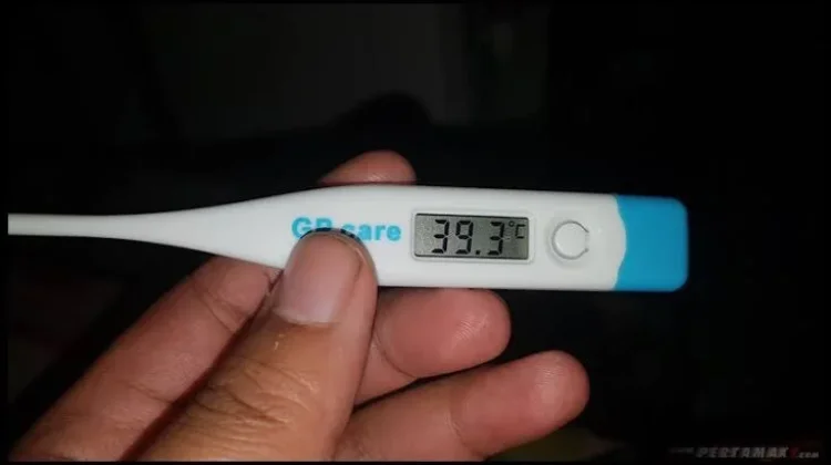 Cara Ampuh Menurunkan Demam Tinggi