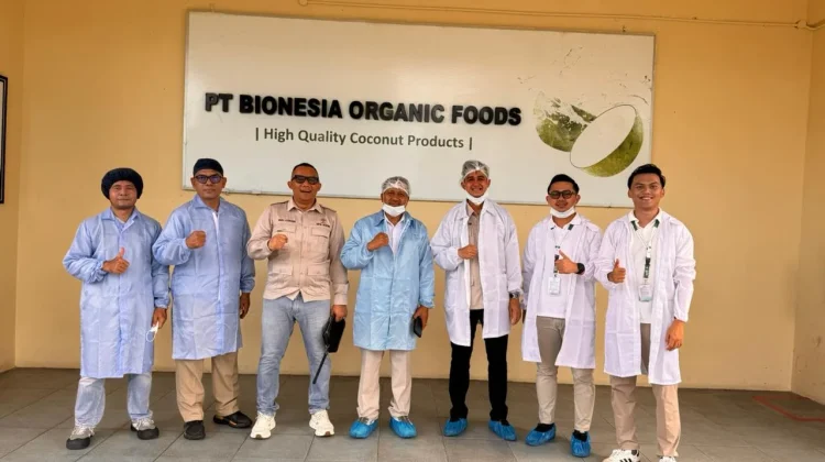 HKTI Kepri Jajaki Kerja Sama Hilirisasi Kelapa di Bintan