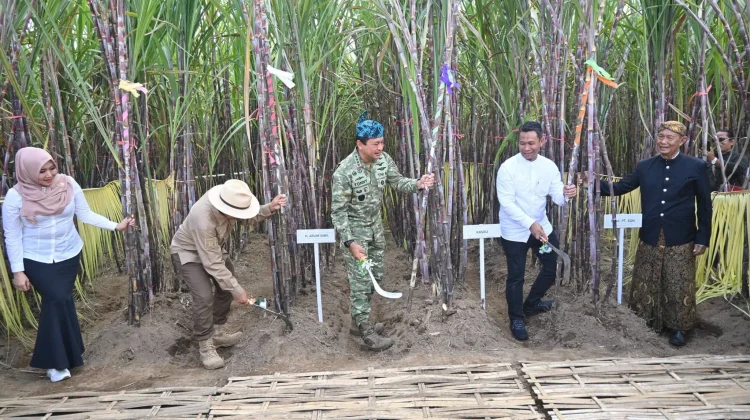 Kasau Perkuat Sinergi TNI AU Demi Percepatan Swasembada Gula Nasional