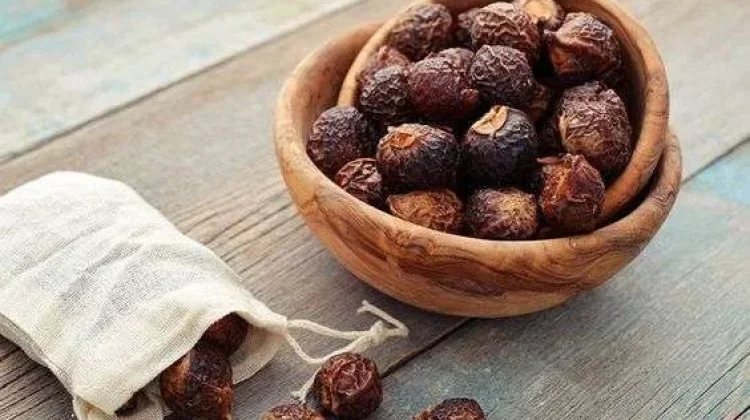 Ragam Manfaat Buah Lerak bagi Kesehatan Tubuh