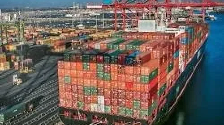 Ingin Buka Freight Forwarding? Pahami Hak Izinnya!