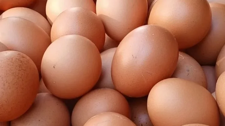 Jangan Cuci Telur sebelum Masuk Kulkas, Ini Alasannya