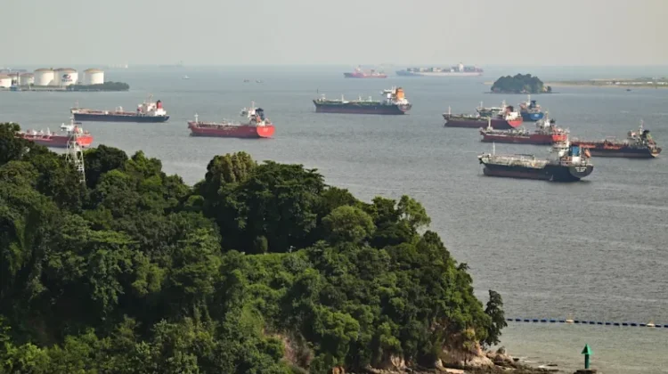 Singapura Perkuat Tebing Pantai Tanjong Rimau untuk Cegah Erosi
