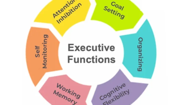 Makna dan Fungsi Executive Function dalam Psikologi