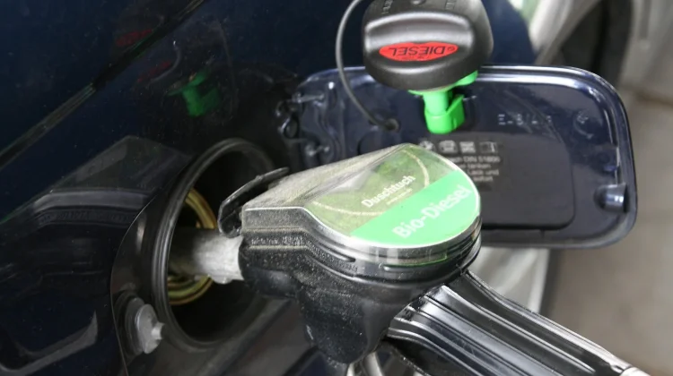 Singapura Sebut Biodiesel Bukan Penyebab Utama Kabut Asap