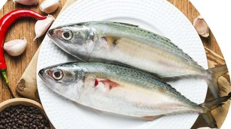 Ragam Manfaat Ikan Kembung untuk Anak