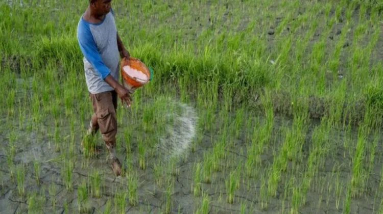 [Hoaks] Tautan Pendaftaran Bantuan Tunai untuk Petani