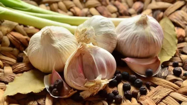 Ragam Obat Sakit Jantung Alami dari Tumbuhan