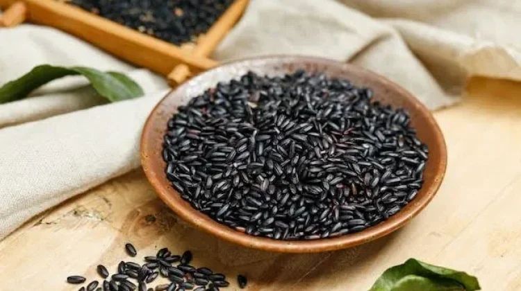 Berbagai Manfaat Ketan Hitam bagi Kesehatan