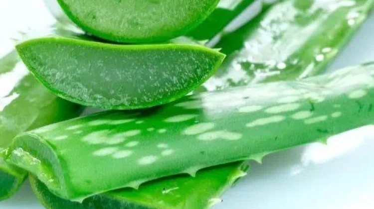 Manfaat Masker Lidah Buaya untuk Wajah