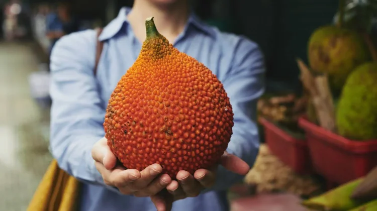 Khasiat Tersembunyi Buah Sukun untuk Kesehatan