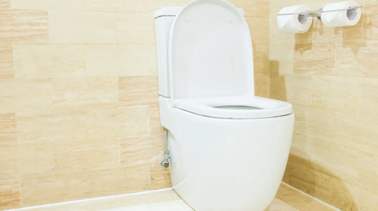 Ini Penyebab Toilet Bisa Berjamur walau Sering Dibersihkan