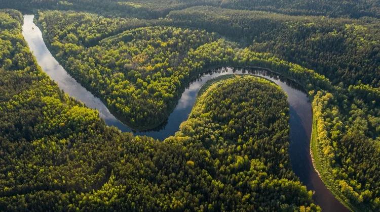 El Nino Menguat, Penyusutan Hutan Perburuk Risiko Bencana di Brasil