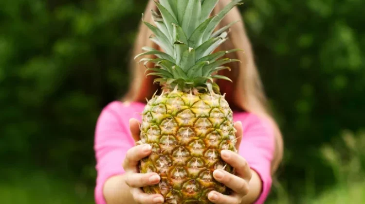 Nanas Lengkapi Nutrisi Anak Sehat