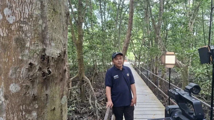 Dari Lokasi Pembuangan Sampah menjadi Ekowisata Pandang Tak Jemu