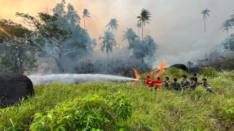 TNI AL Gerak Cepat Padamkan Kebakaran Gambut di Natuna